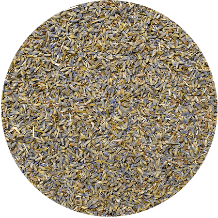 Mary Rose – Lavendel 25 g – Lavendelblüte (ökologisch)
